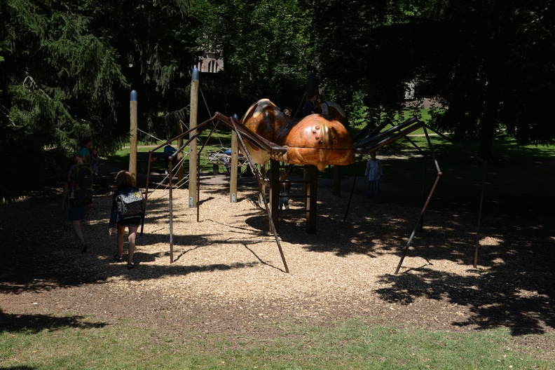 Spider Playground1.JPG